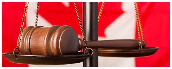 Warning! Beware of immigration scams – regulatory body warns customers