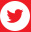 twitter-icon