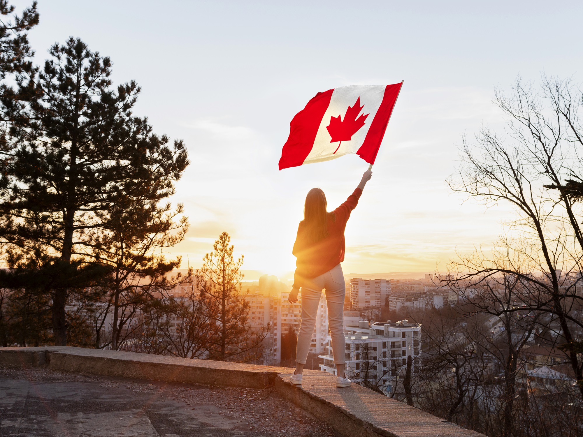 Canada Immigration Options Your Guide to a New Life Canada Immigration Options: Your Guide to a New Life