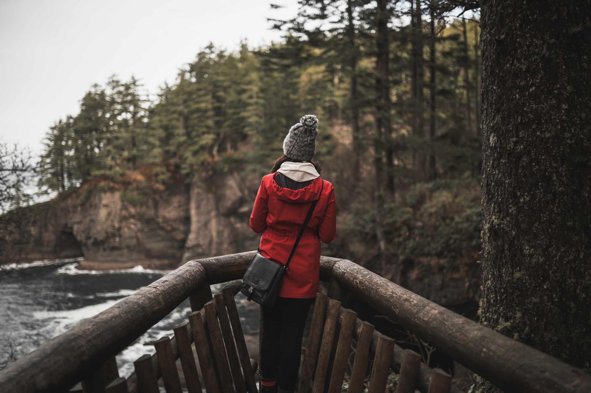 How to Obtain a Work Permit in Canada (2024 Update)