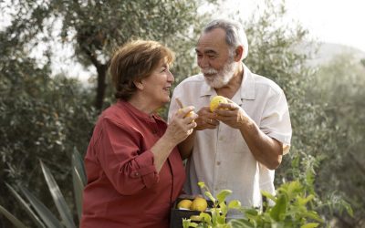 Canada’s Parents and Grandparents Program (PGP) Update: Invitation Process and Next Steps