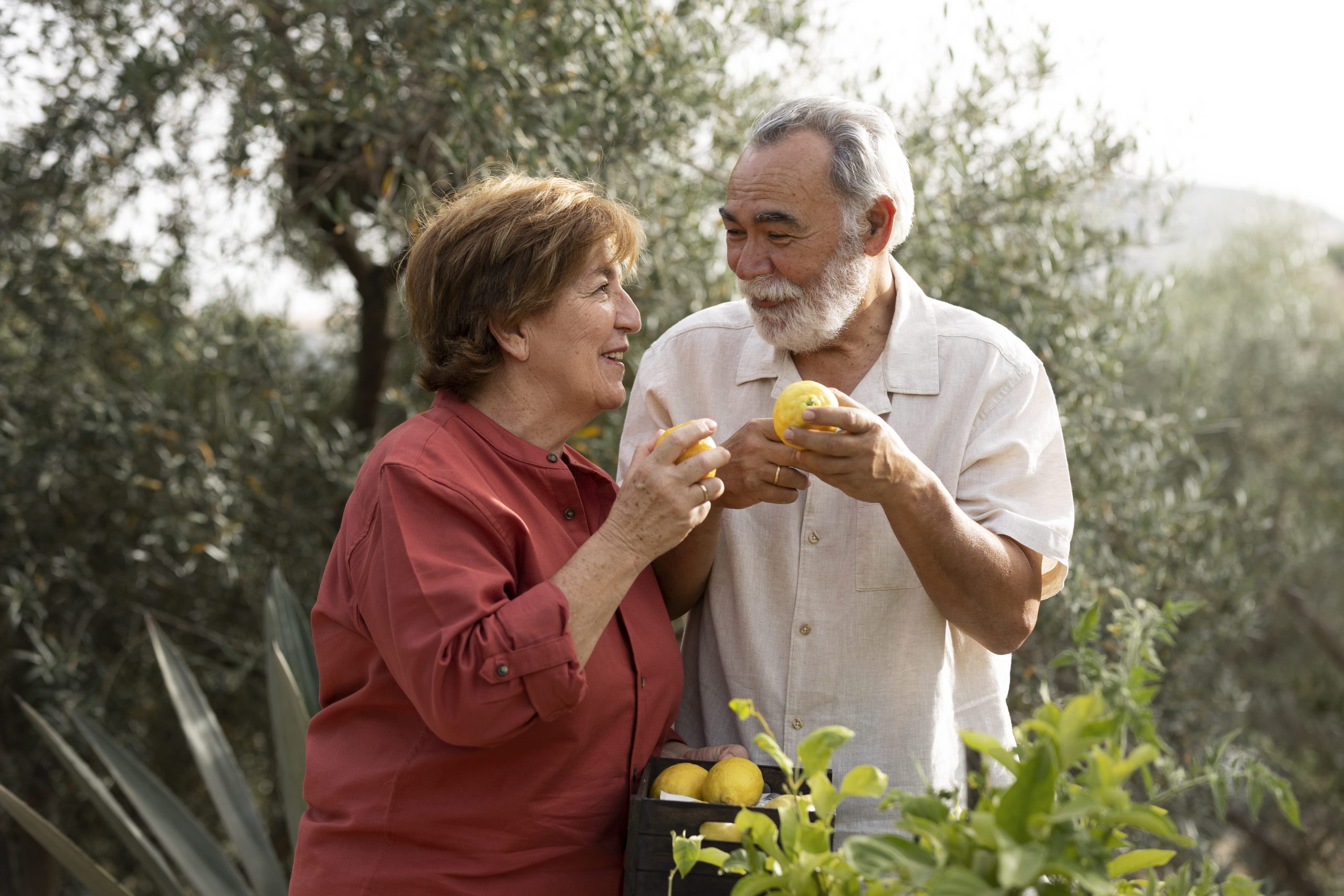 Canada’s Parents and Grandparents Program (PGP) Update: Invitation Process and Next Steps Canada's Parents and Grandparents Program (PGP) Update: Invitation Process and Next Steps